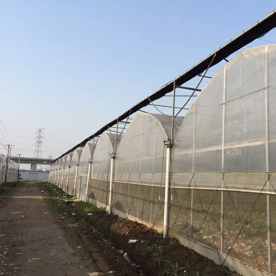 阿坝连栋薄膜温室大棚供求「质量精选」2025排名一览