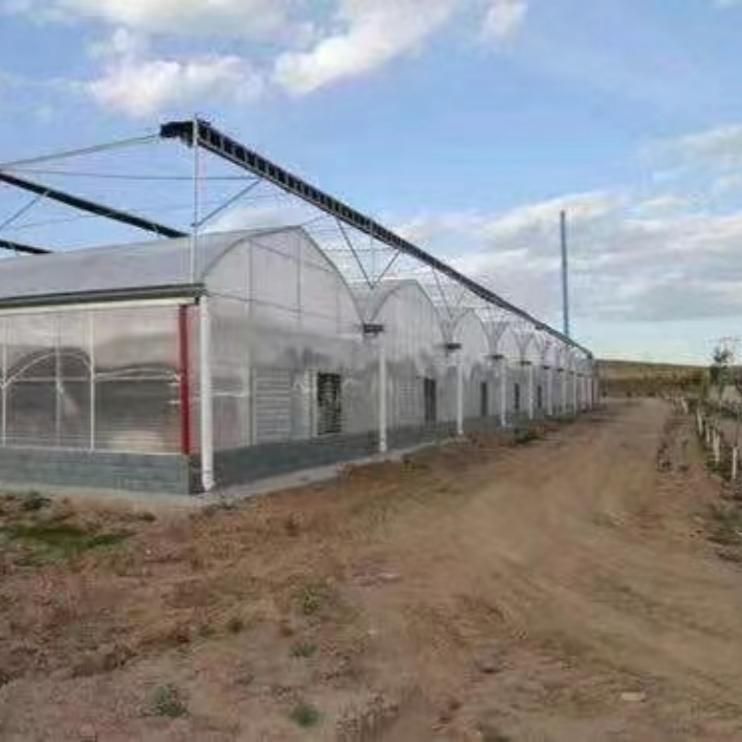 新余薄膜连栋温室大棚哪里有卖「保温性好」2025排名一览
