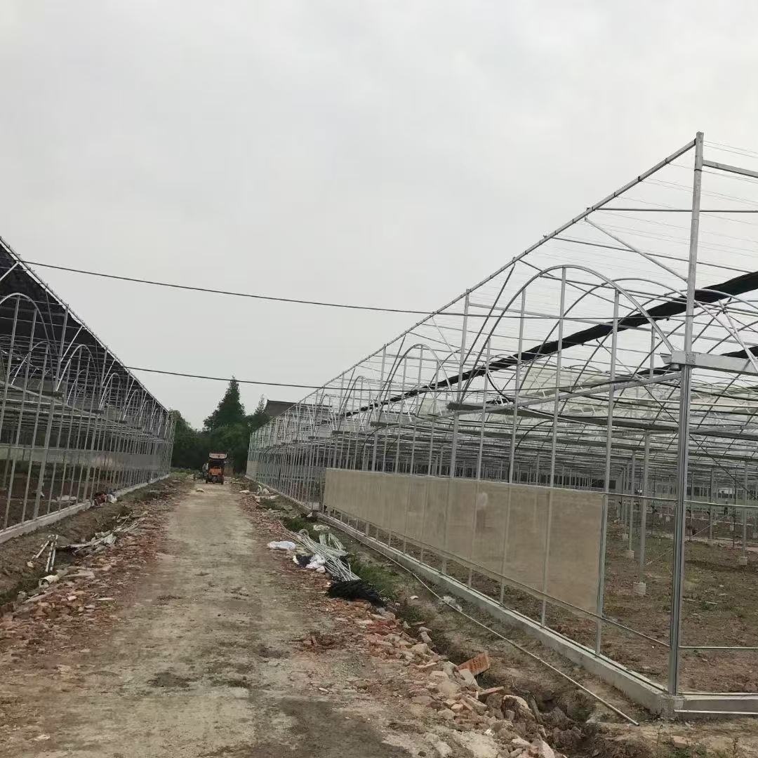 黄山智能连栋温室大棚联系人「诚信经营」2025排名一览