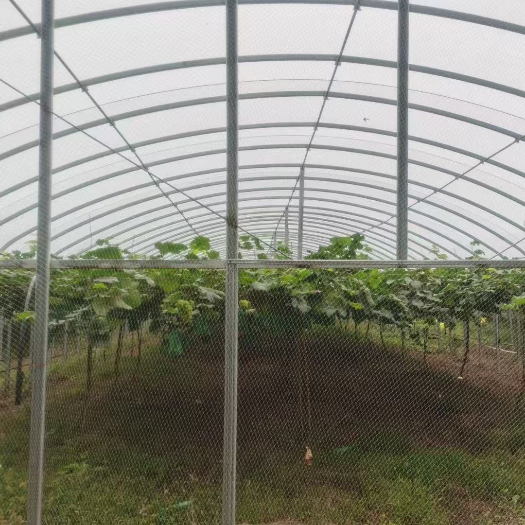 芜湖连栋薄膜温室大棚花卉蔬菜避虫害「厂家直销」2025排名一览