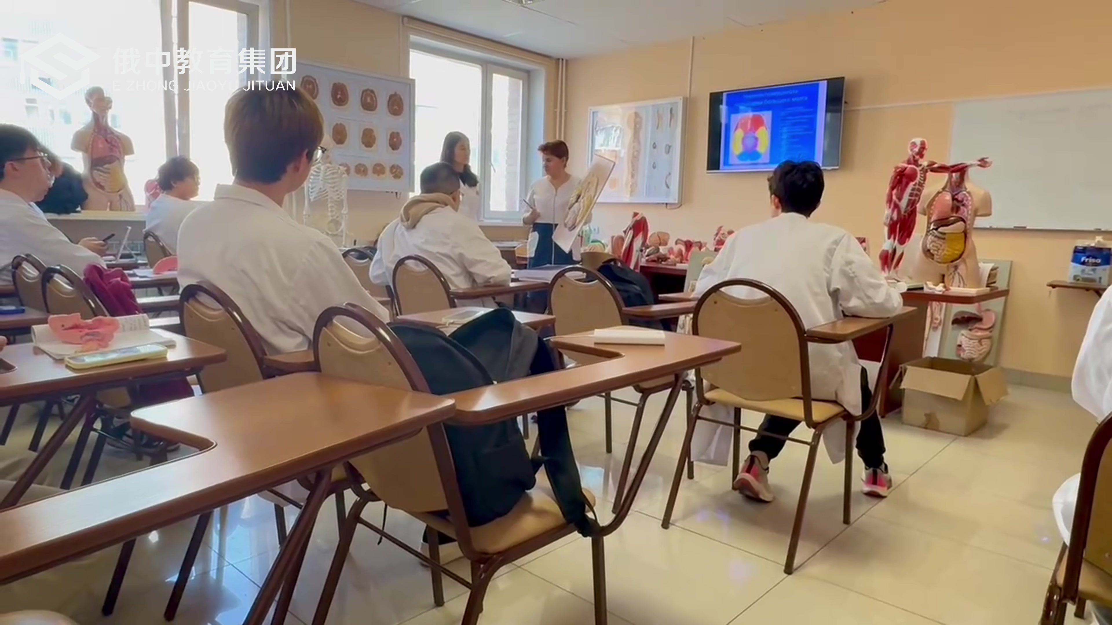 2025口腔医学双语授课班奖学金申请（317—499分）申请