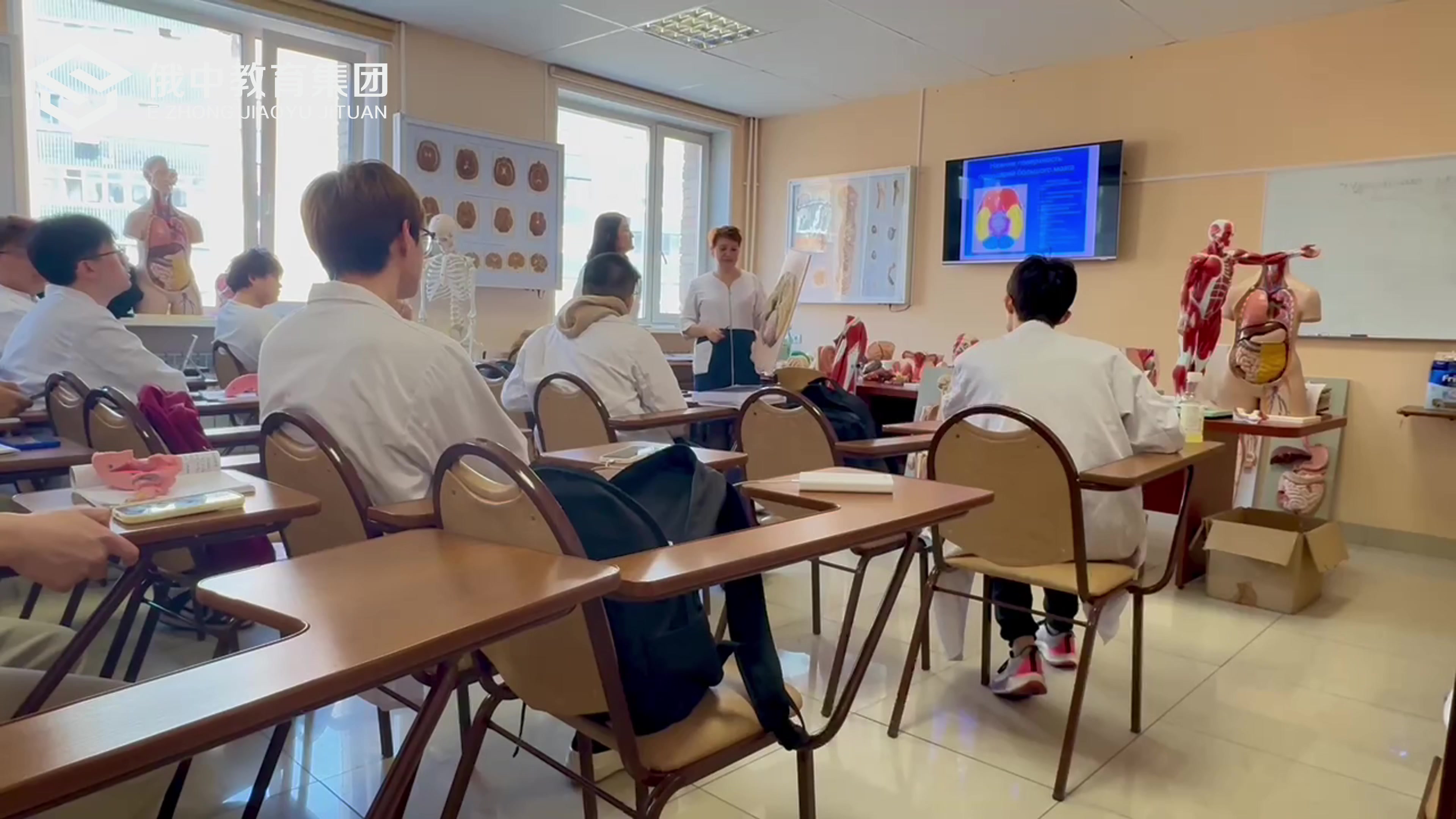2025口腔医学英文授课班总费用多少（482—499分）可报读