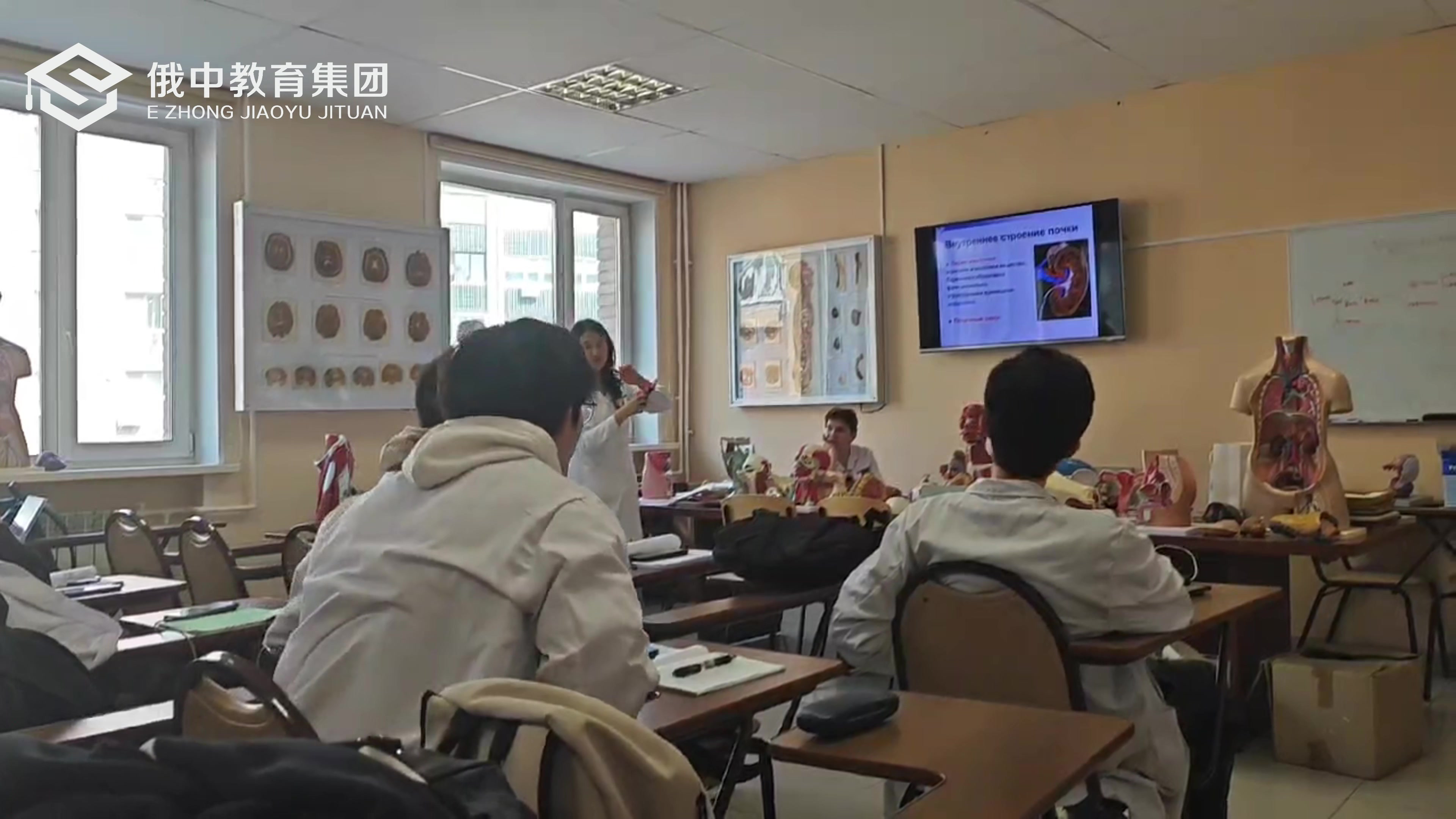 2025医学专班研究方向（446—499分）可报名