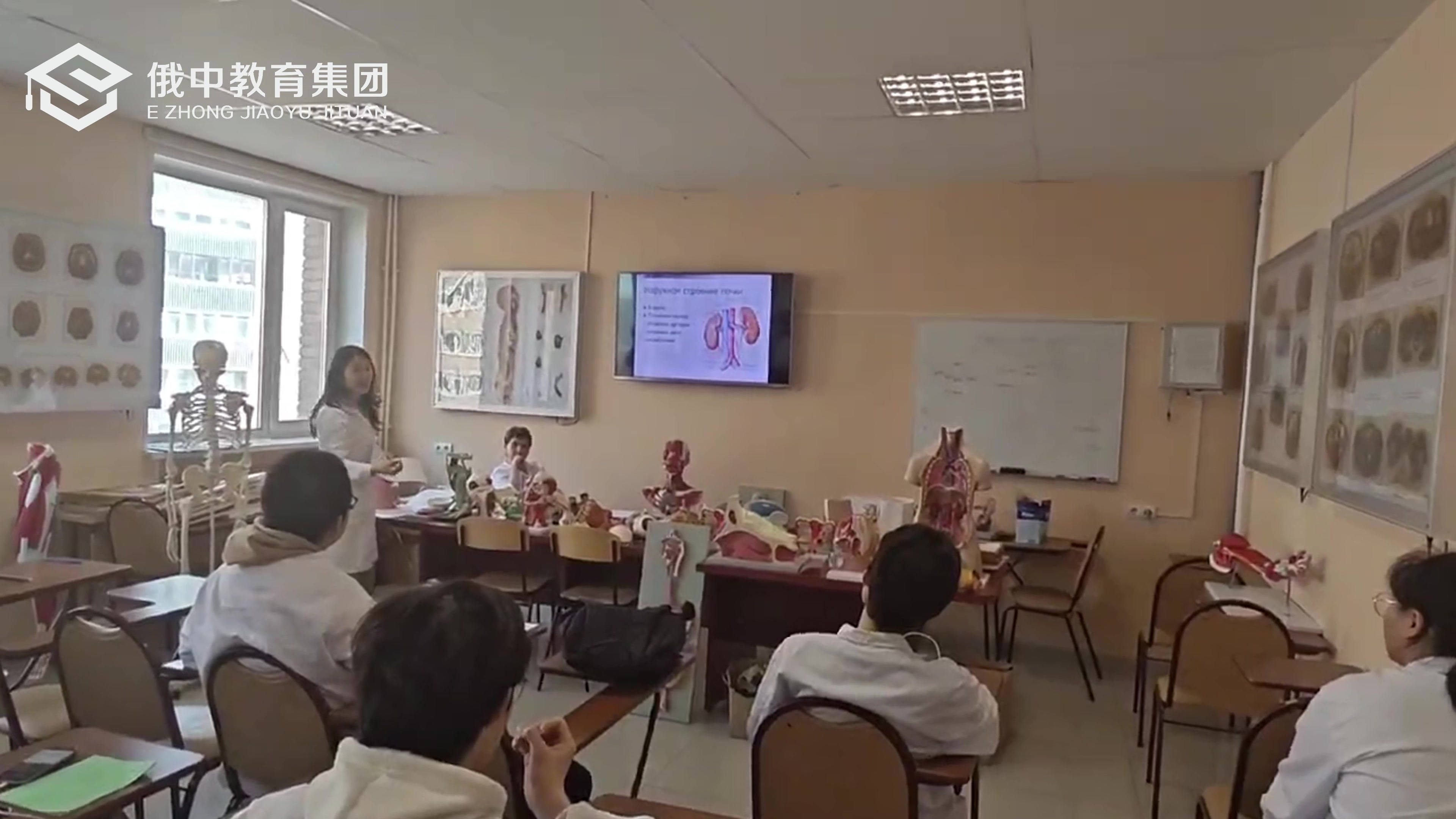 2025口腔医学英文授课班语言要求（502—530分）规划