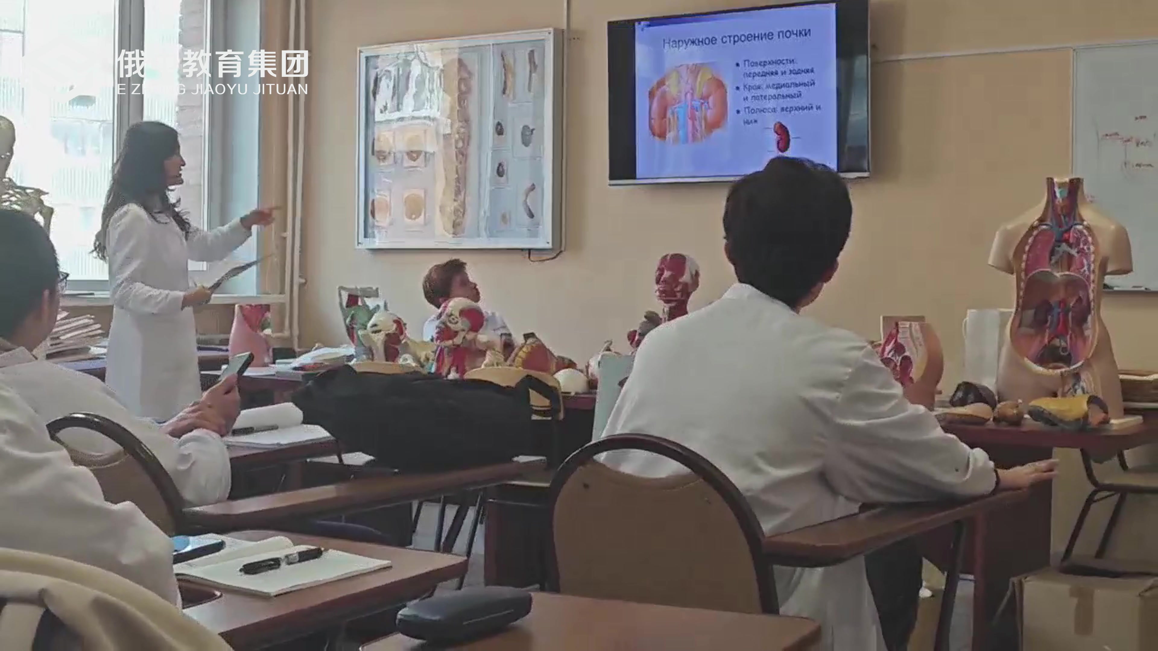 2025医学中俄双语班两年制硕士（440—499分）想学医申请