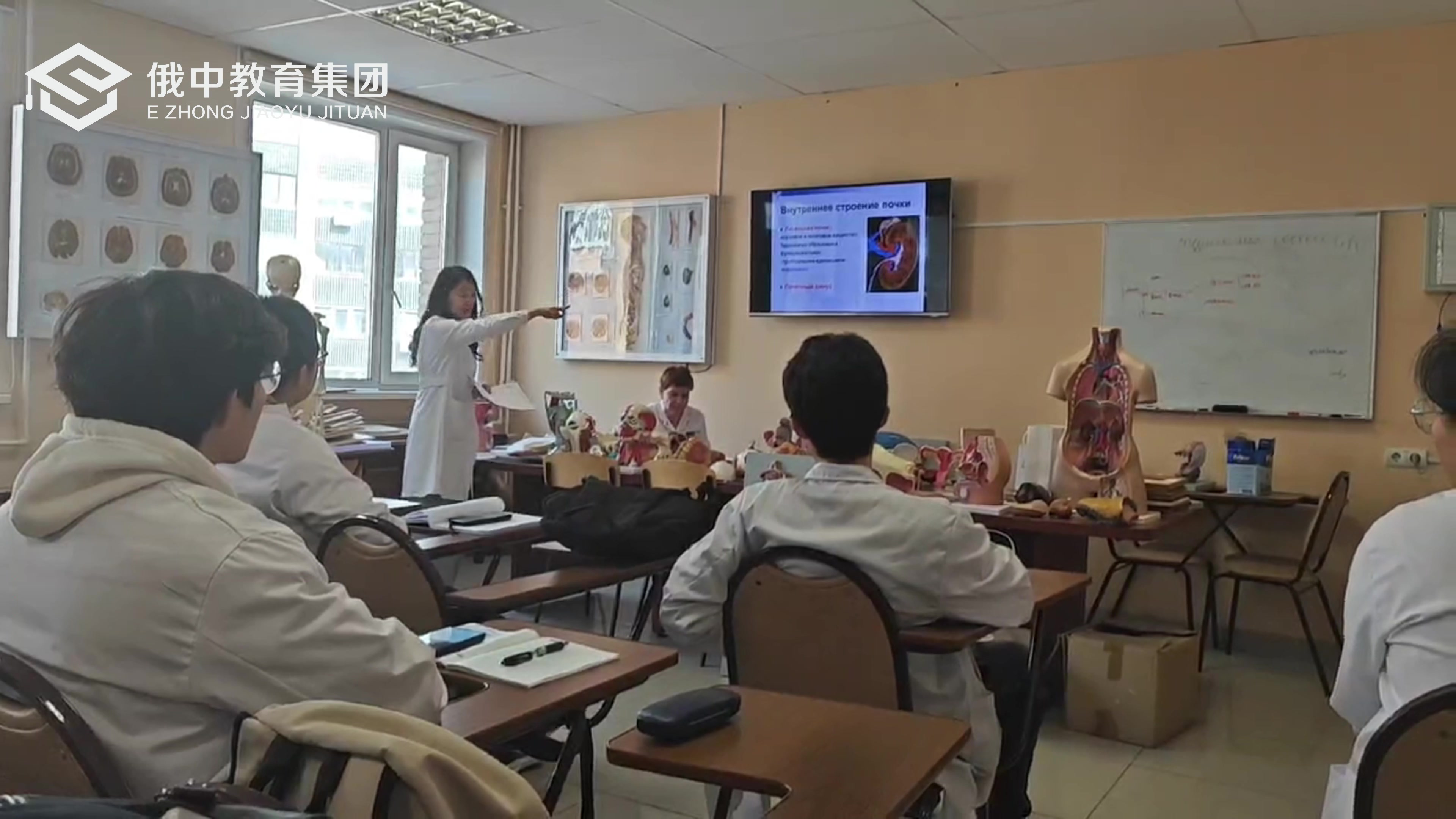 2025口腔医学英文授课班预科班通过率（314—486分）可报名