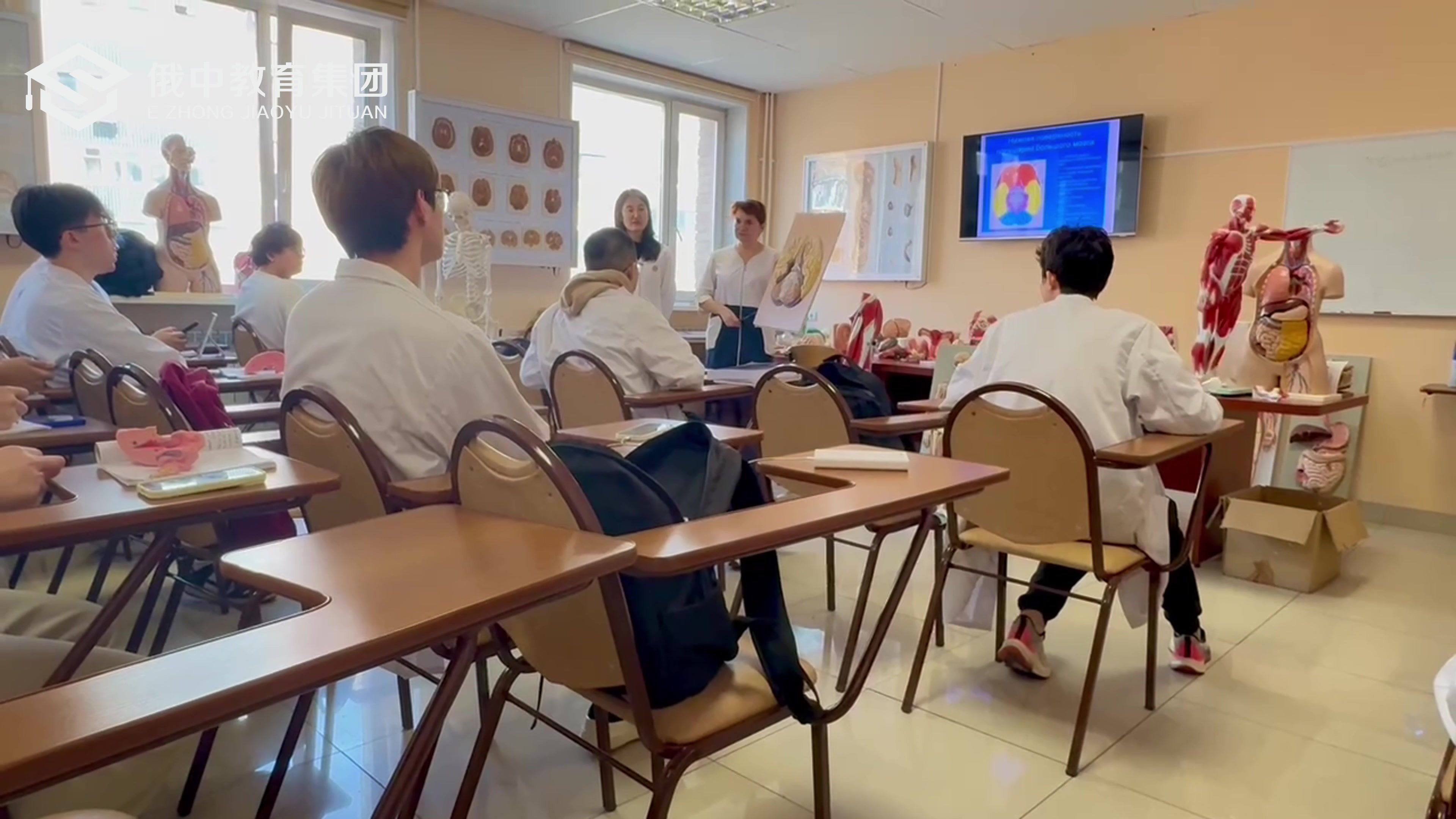 2025口腔医学双语授课班实习机会（314—486分）可申请