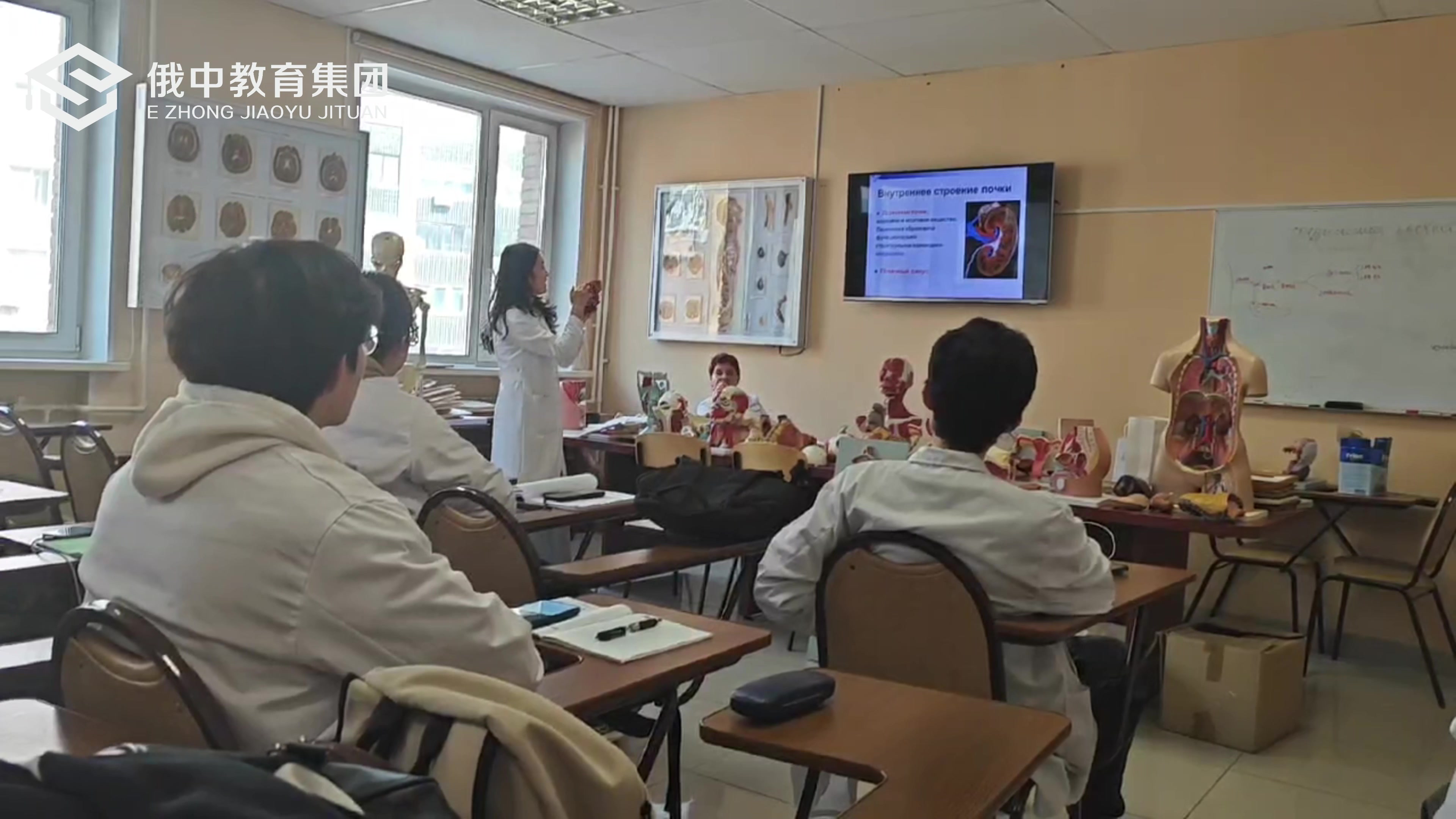 2025医学专班报名条件（424—499分）想学医申请