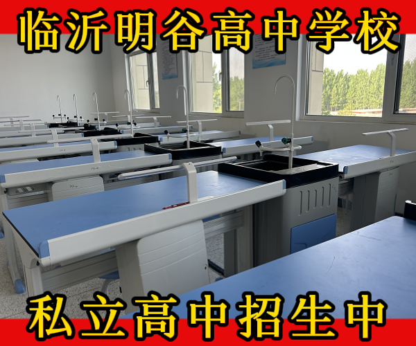 临沂的沂南高中学校排行