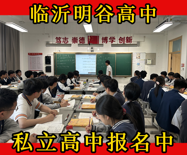 临沂市费县新高一民办高中学校排行表